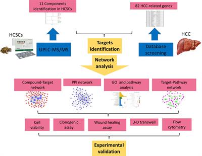 Interpreting the Pharmacological Mechanisms of Huachansu Capsules on Hepatocellular Carcinoma Through Combining Network Pharmacology and Experimental Evaluation